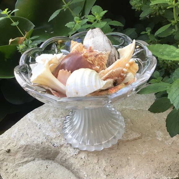 Mikasa Garden Terrace Footed Bon Bon - Picture 3 of 10